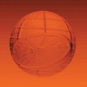 Meet your Posher, Lily